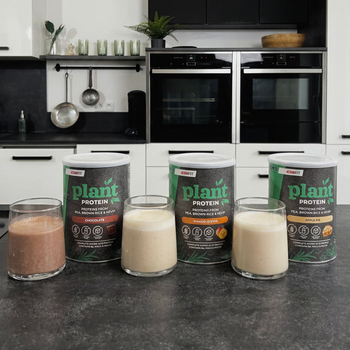 ICONFIT augaliniai baltymai (480g)