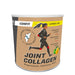 ICONFIT Joint Collagen Lemon-Lime 300g — Baltic 3D can, 4744130013900