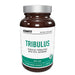 ICONFIT Tribulus, 90 Capsules — Baltic pack interactive 3D